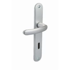 VACHETTE Ensemble De Porte Budget BEZAULT Entraxe 195 Mm Clé L - Argent - 204856