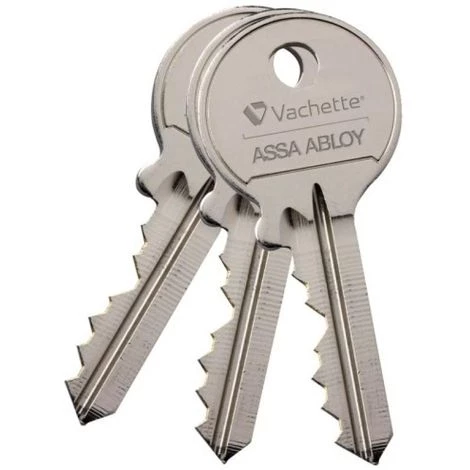 VACHETTE Cylindre Double De Sûreté 30 X 30 En Laiton Poli - Profil Européen S Entrouvrant - Série 7000 2 VACHETTE Cylindre Double De Sûreté 30 X 30 En Laiton Poli - Profil Européen S Entrouvrant - Série 7000 – Image 2