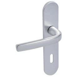 VACHETTE Béquille Double Sur Plaque Entraxe 165 Mm Ligne Logio Aluminium Anodisé Argent Bec De Cane