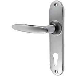 VACHETTE Ensemble Sur Petite Plaque En Zamak Finition Chromé Velours - JAZZ Bec-de-cane