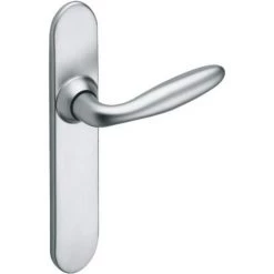 VACHETTE Ensemble Sur Grande Plaque En Zamak Chromé Velours - OPERA Condamnation