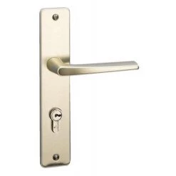 VACHETTE Plaque Finition Champagne - Type Riviera Clé L