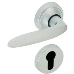 VACHETTE Ensemble Sur Rosace En Zamak Chromé - Ton Chromé Velours - JAZZ Clé L