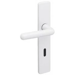 VACHETTE Plaque Rectangulaire En Polyamide Grise - ARCOLOR 8800 - Pour Béquille 710 Et 232 Condamnation - Gris Clair