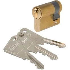 Demi Cylindre Varié Laitonné - 30 X 10 Mm - V5 - Vachette