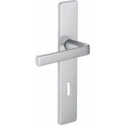 Poignée Sur Plaque Kaza Bezault - Argent - Clé L - Vachette
