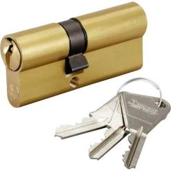 Cylindre De Sureté Asymétrique V5 Vachette - Dimensions 30 X 40 Mm