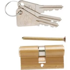 Cylindre De Sureté Fonction Clé De Sécours V5 Vachette - Dimensions 30 X 30 Mm