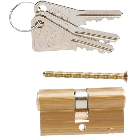 Cylindre De Sureté Fonction Clé De Sécours V5 Vachette - Dimensions 30 X 30 Mm 1 Cylindre De Sureté Fonction Clé De Sécours V5 Vachette - Dimensions 30 X 30 Mm