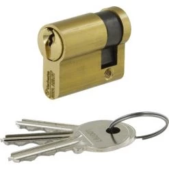 Cylindre De Sureté Simple V5 Vachette - Dimensions 30 X 10 Mm