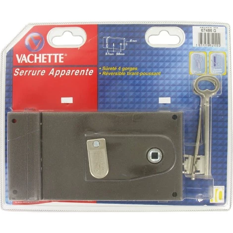 Serrure à Clé Bénarde Horizontale à Fouillot 4 Gorges Série Standing Vachette - Gauche 1 Serrure à Clé Bénarde Horizontale à Fouillot 4 Gorges Série Standing Vachette - Gauche