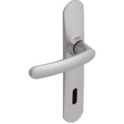 Poignées De Porte Avec Plaque, Entraxe 195 Mm, Clé L, Chromées Miroir Vachette