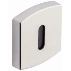 VACHETTE Paire De Rosaces 6425 Muze BEZAULT - Chrome Velours - Clé L - 866169