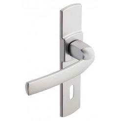 VACHETTE Ensemble De Porte Sur Plaque Artis BEZAULT Entraxe 165mm - Chrome Velours - Clé L - 865407