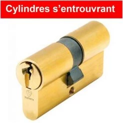 Cylindres Utilisant Les Mêmes Clés (s'entrouvrant) 5 Goupilles Laiton V5 (3 Clés) VACHETTE - Dimensions: 30 X 10 Mm (1/2 Cylindre)