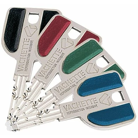 VACHETTE Cylindre Modèle Radialis A2P Varié 2 VACHETTE Cylindre Modèle Radialis A2P Varié – Image 2