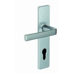 VACHETTE Ensemble KAZA - Plaque 190 X 42 Mm - Entraxe De Fixation 165 Mm - Argent - 1364/6329 Clé I