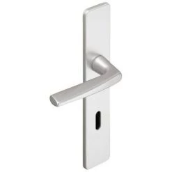 VACHETTE Ensemble De Porte Riviera BEZAULT Entraxe 195 Mm Argent - Clé I - 0072775 - Argent