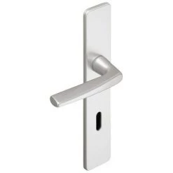 VACHETTE Ensemble De Porte Riviera BEZAULT Entraxe 195 Mm Argent - Clé L - 0072744