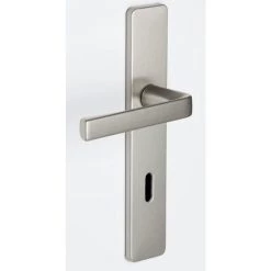 VACHETTE Ensemble KAZA - Plaque 190 X 42 Mm - Entraxe De Fixation 165 Mm - Argent - 1364/6329 Clé L